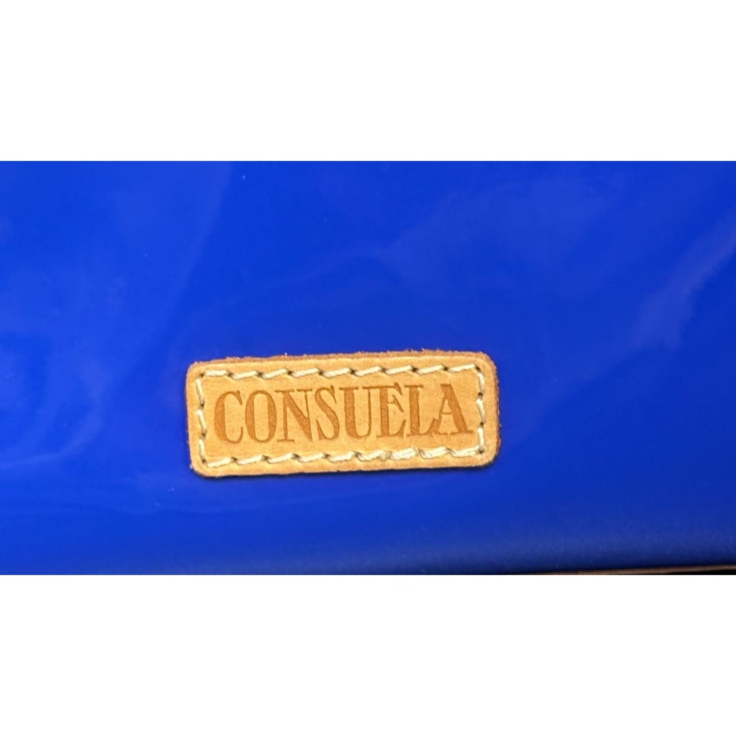Consuela Crossbody Bag Blue Multi With Floral Embroidery