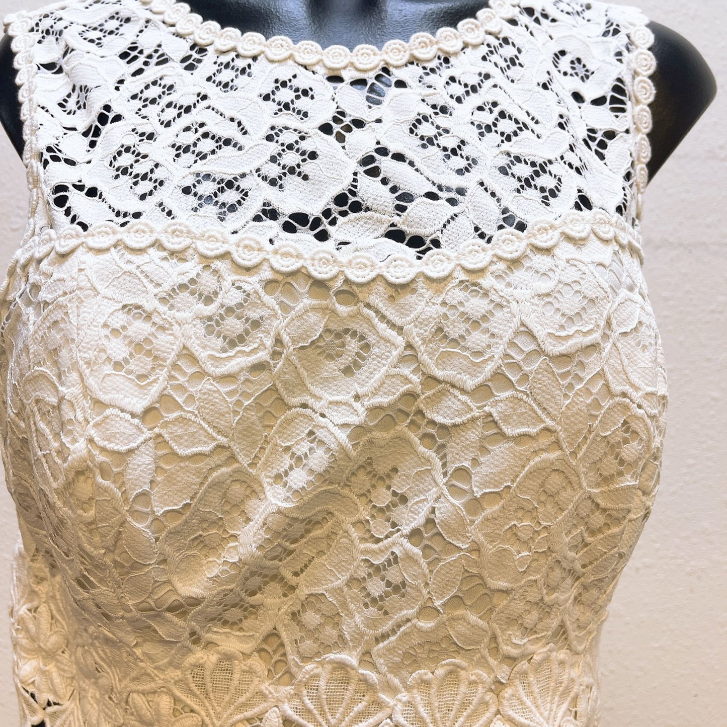 Lilly Pulitzer Sleeveless Lace Top Dress With Navy Skirt 10