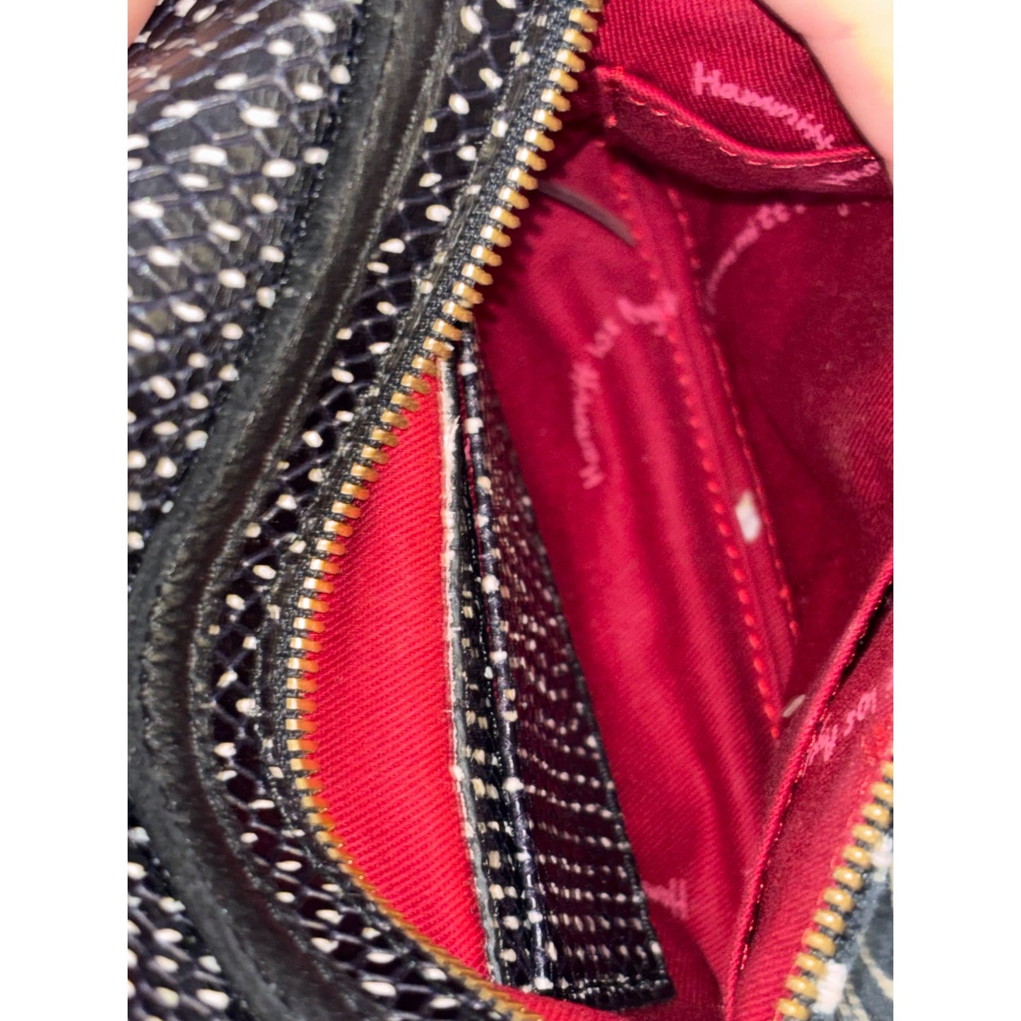 Hammitt Crossbody Bag Los Angeles Bone Design