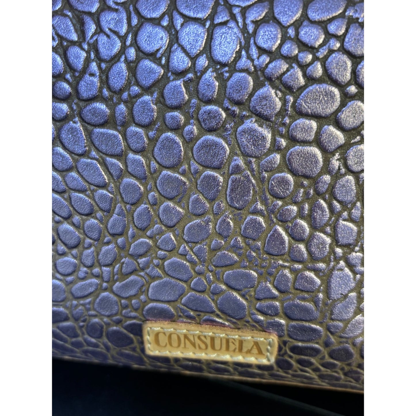 Consuela Lilac Crossbody Bag With Textured Leather