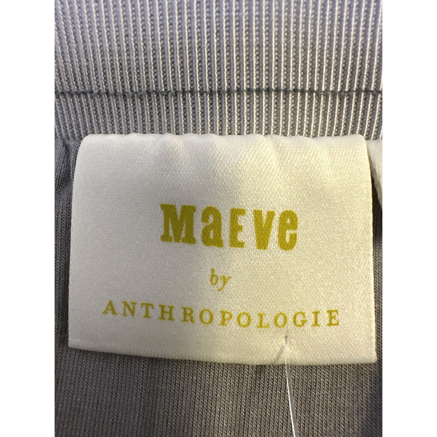 NWT Maeve By Anthropologie Silver Metallic Pleated Maxi Skirt Size 12