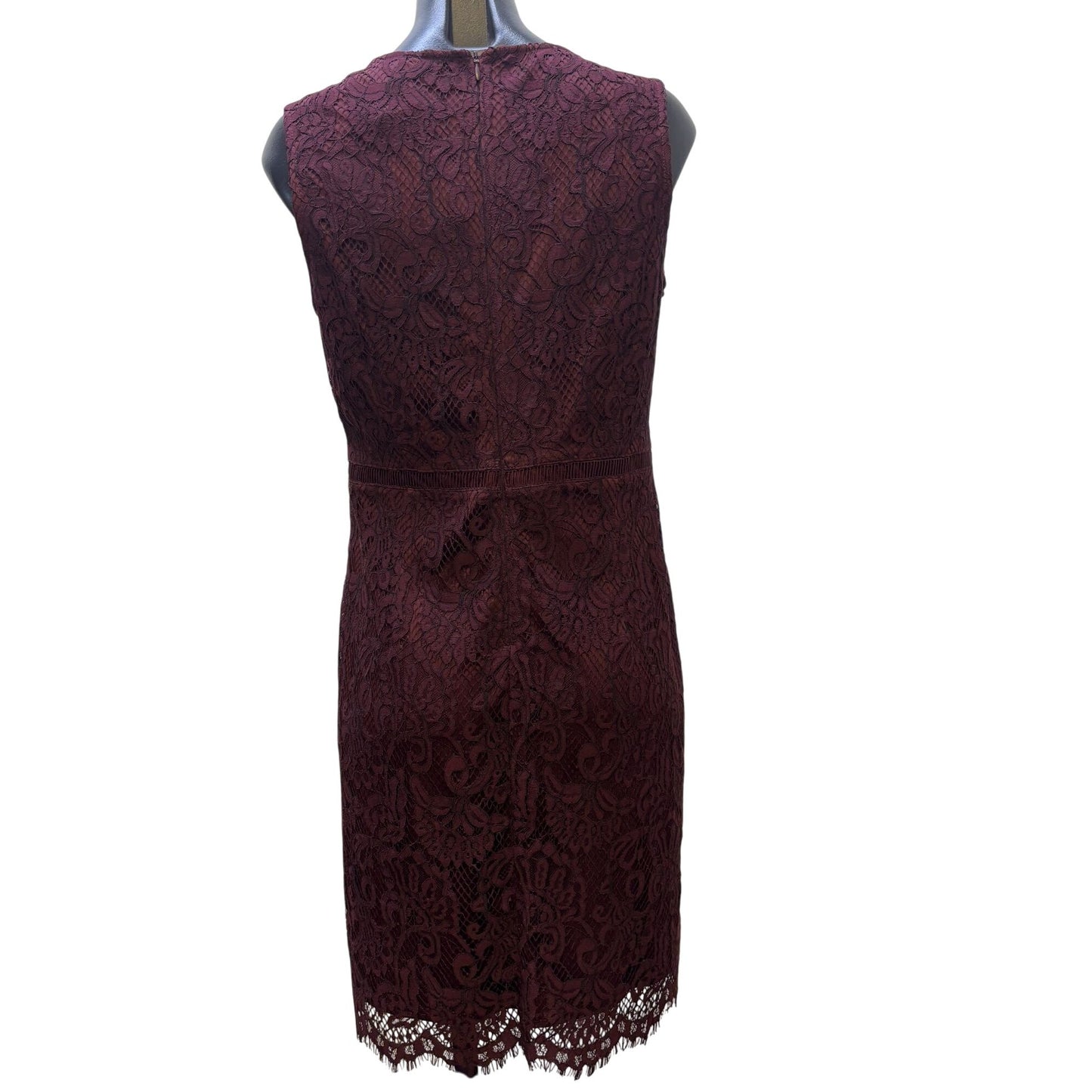 NWT Banana Republic Petite Lace Burgundy Dress 8P