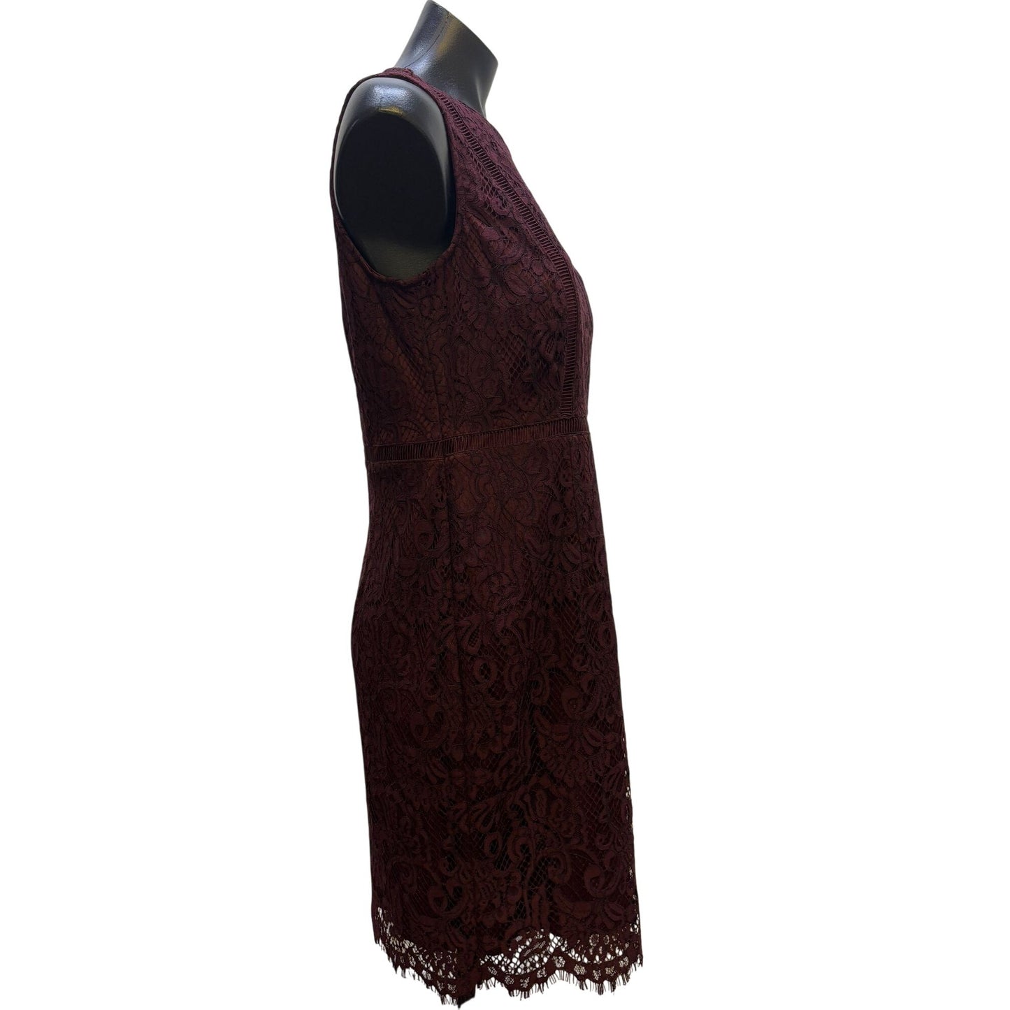 NWT Banana Republic Petite Lace Burgundy Dress 8P