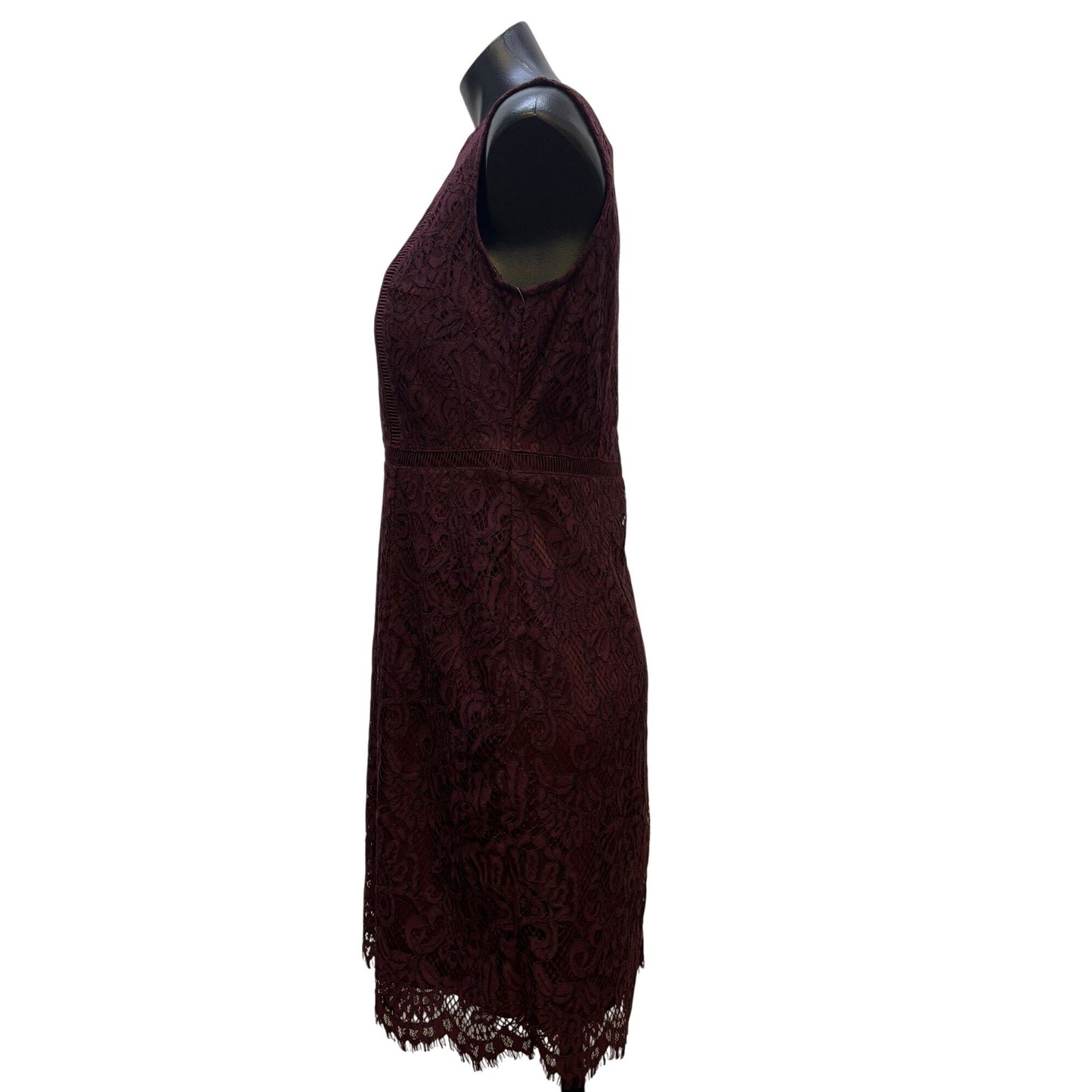 NWT Banana Republic Petite Lace Burgundy Dress 8P