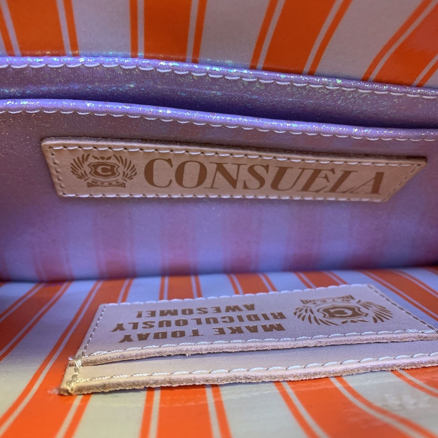 NWT Consuela Songbird Multicolored Crossbody Bag