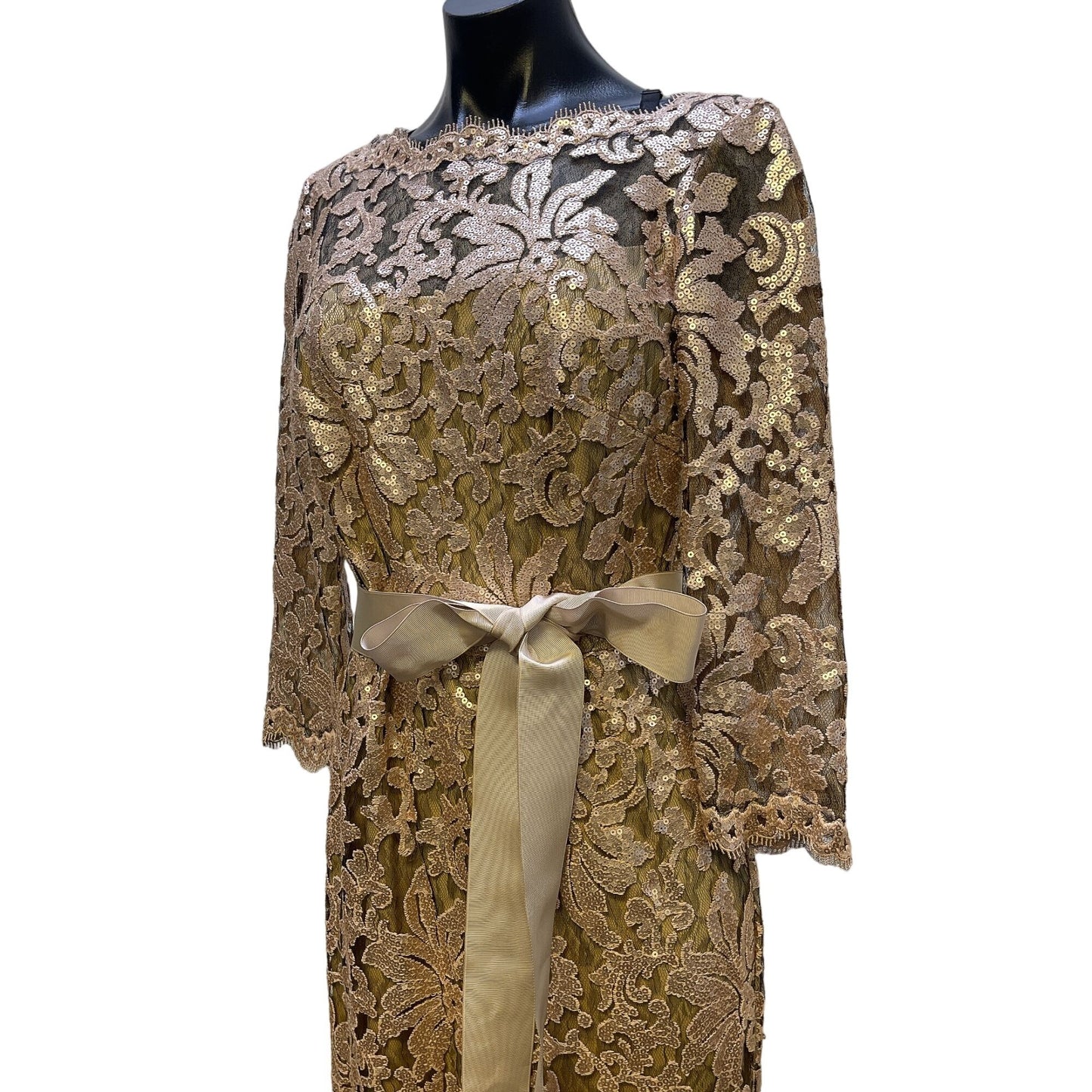 Tadashi Shoji Women's Lace Gown With Ribbon Belt Size 6