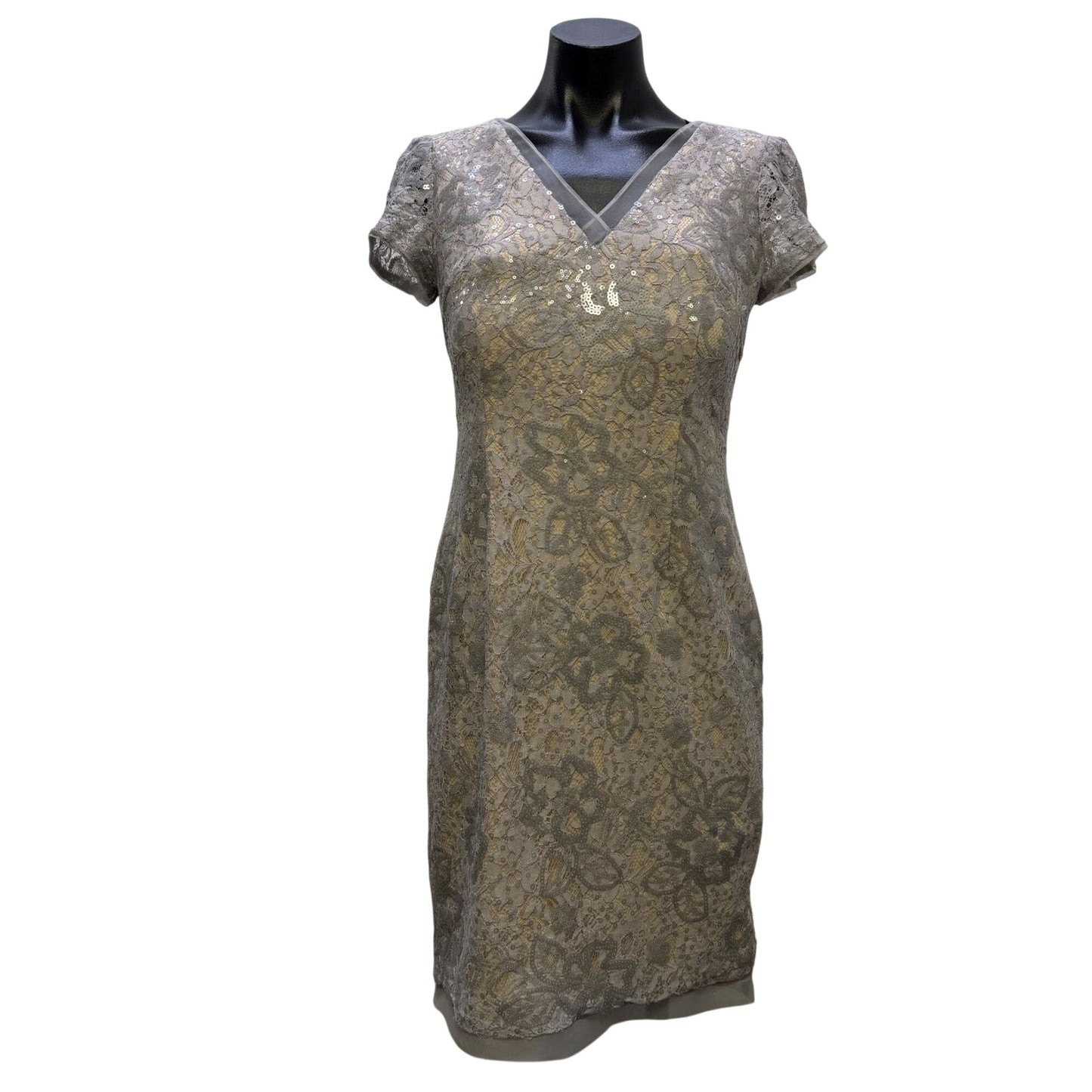 Adrianna Papell Gray Nude Lace Sequin Sheath Dress Size 6