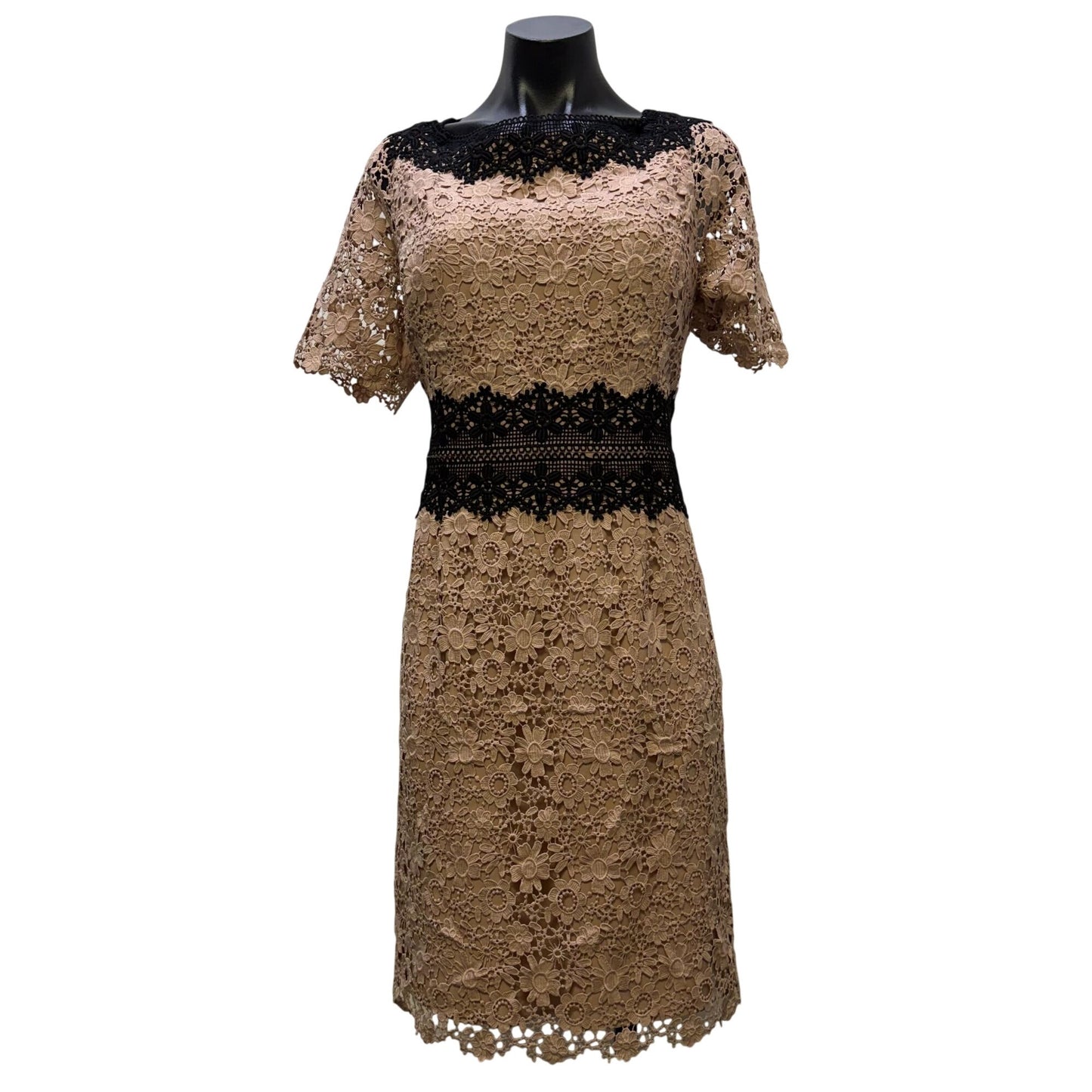 Shani Floral Lace Sheath Dress Blush & Black Short Sleeves Size 12