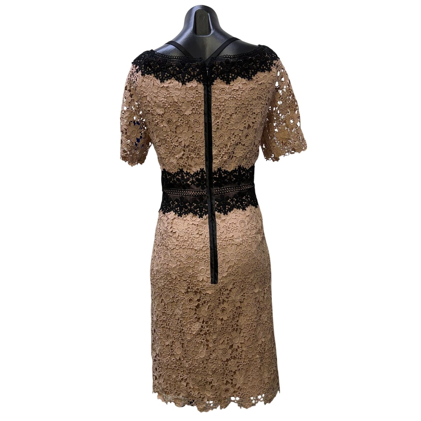 Shani Floral Lace Sheath Dress Blush & Black Short Sleeves Size 12
