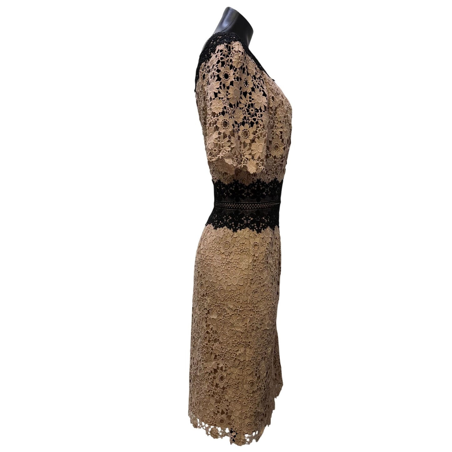 Shani Floral Lace Sheath Dress Blush & Black Short Sleeves Size 12