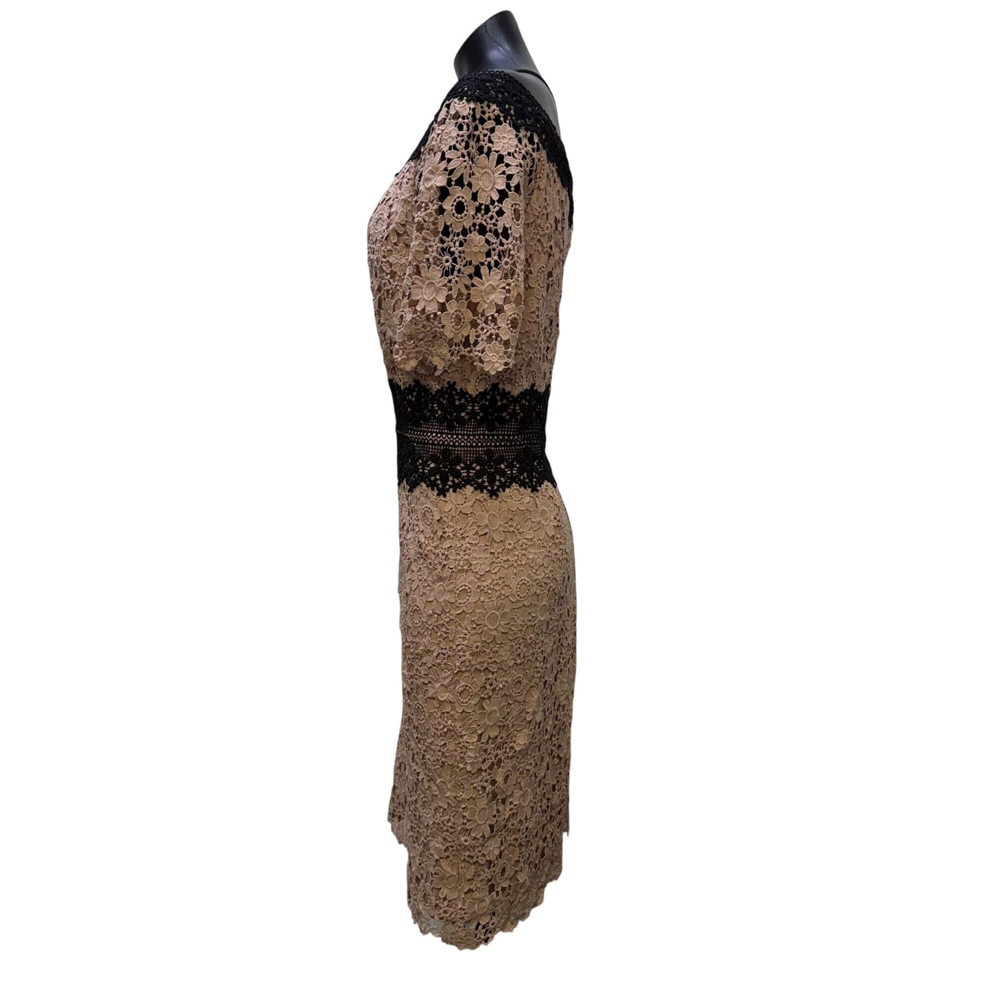 Shani Floral Lace Sheath Dress Blush & Black Short Sleeves Size 12