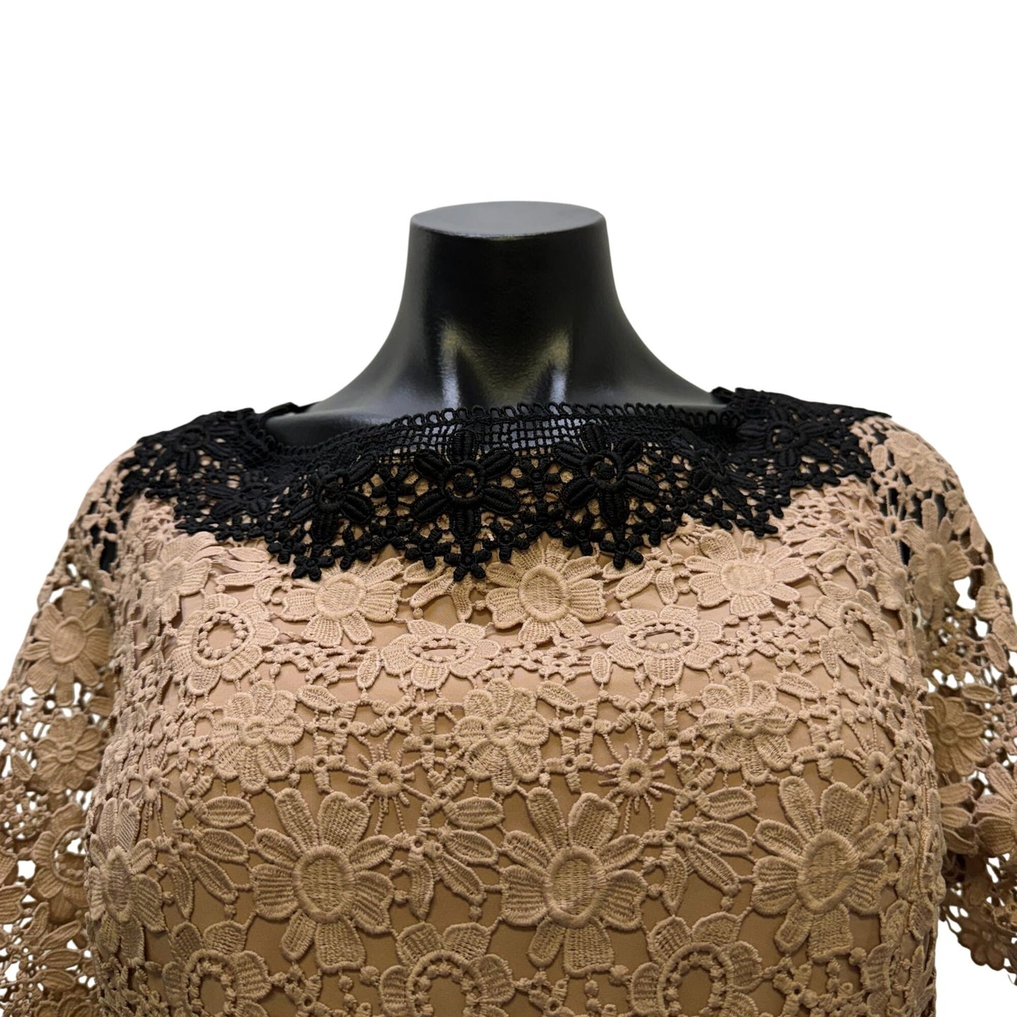 Shani Floral Lace Sheath Dress Blush & Black Short Sleeves Size 12