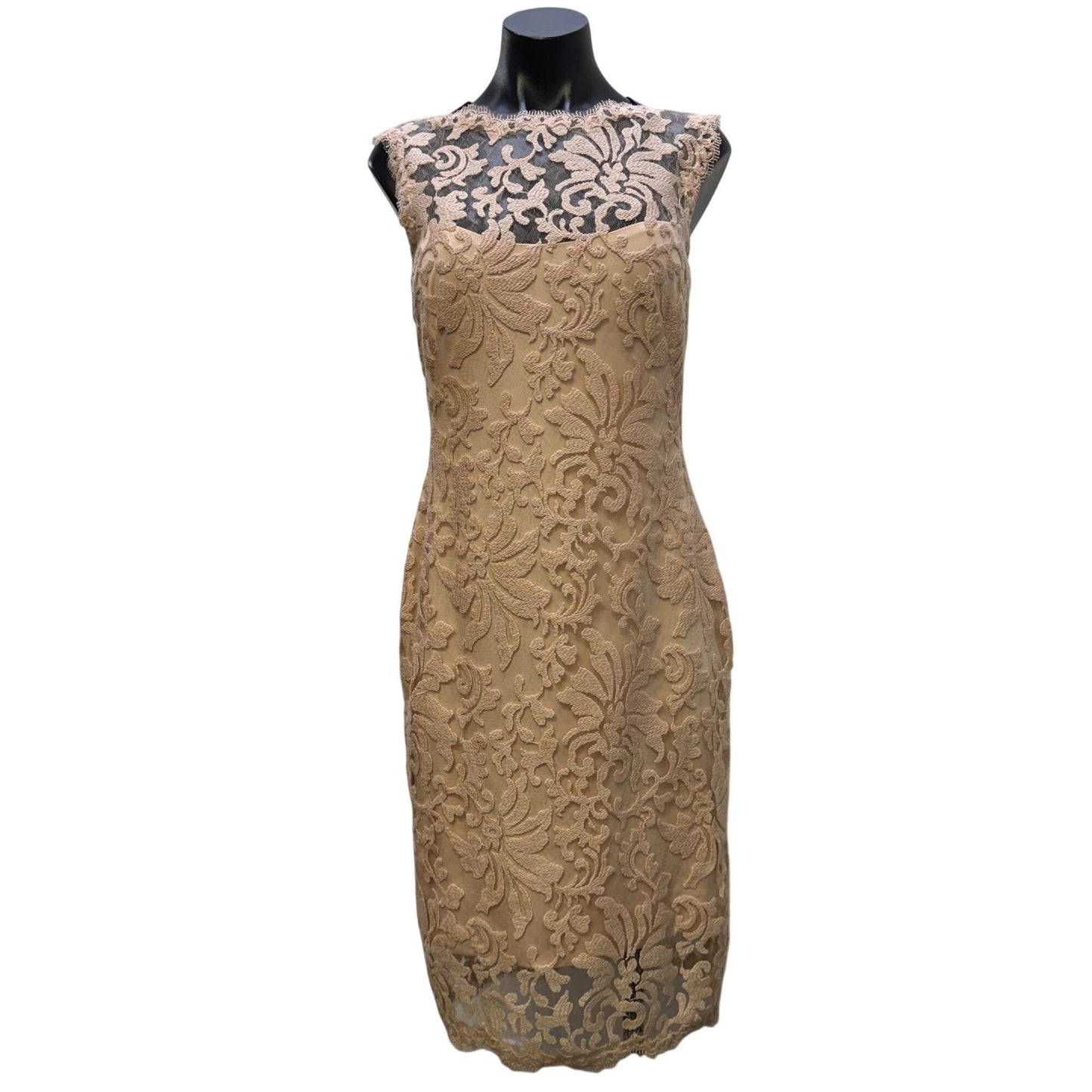 Tadashi Shoji Pink Lace Sleeveless Cocktail Dress Size 6