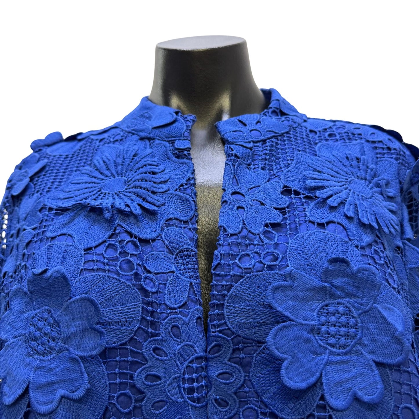 J. Marie Blue Floral Lace Long-Sleeve Open Front Dress XL