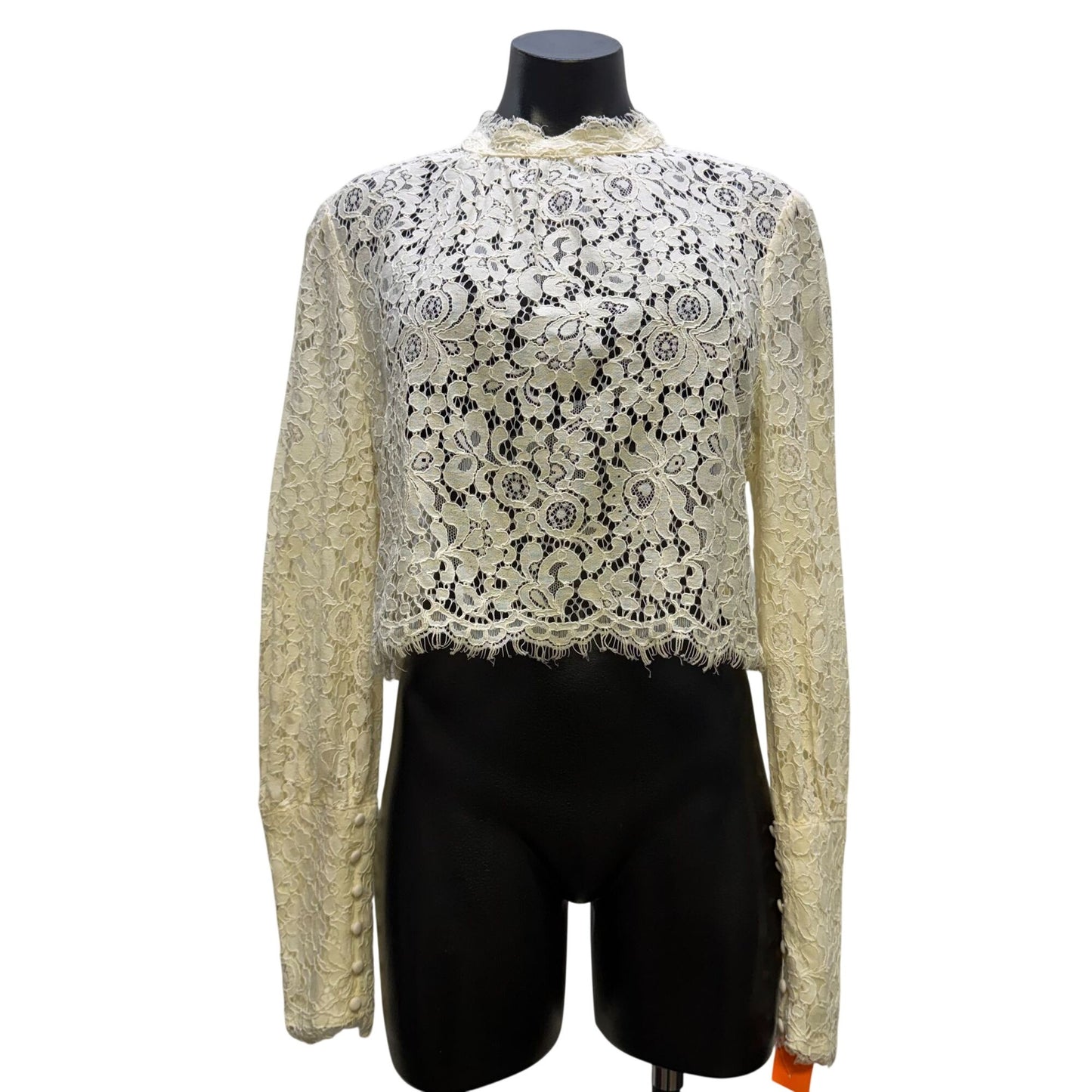 Bardot Lace Cropped Blouse Ivory Long Sleeve XL