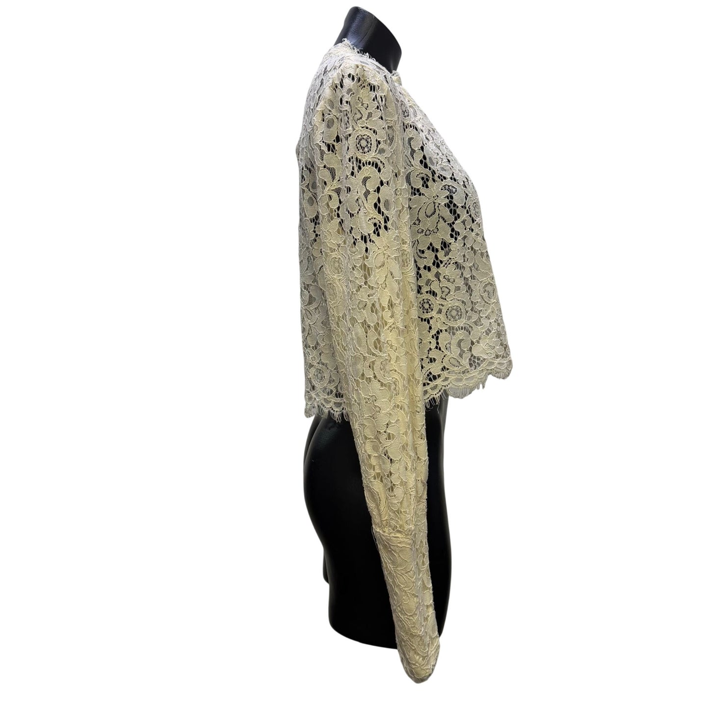 Bardot Lace Cropped Blouse Ivory Long Sleeve XL