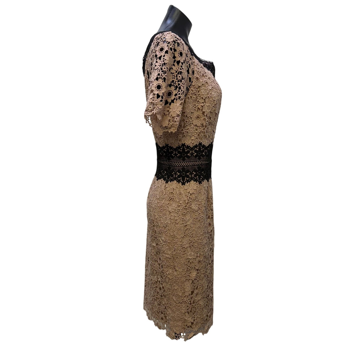 Shani Floral Lace Dress Beige & Black Short Sleeve 12