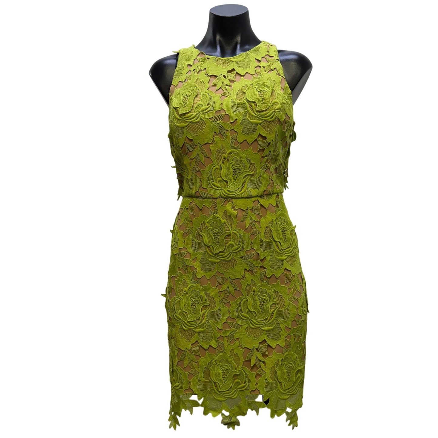 NWT Adelyn Rae Nude & Lime Green Floral Lace Dress Size S